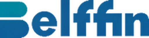 Belffin logo