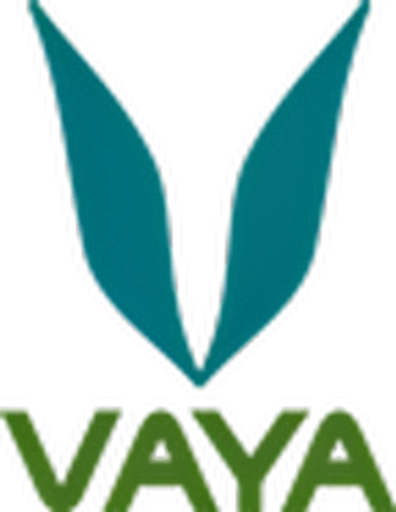 VAYA logo
