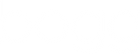 BOGG BAG logo