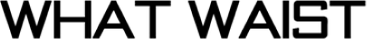What Waist logo