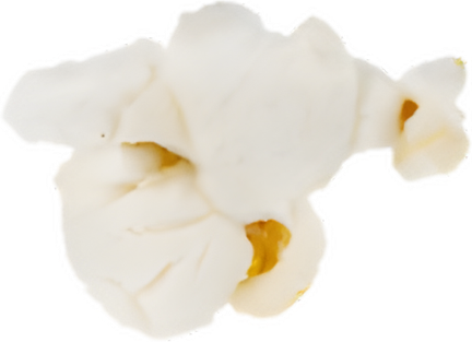 Amish Country Popcorn logo