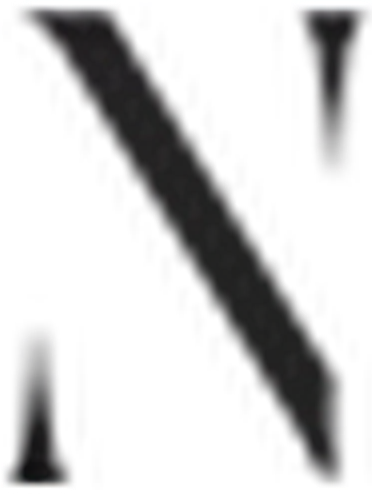 Nazz Collection logo