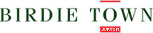 Birdie Town logo