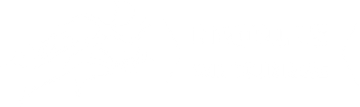 NYCRUNS logo