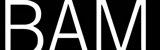 Brooklyn Academy of Music logo