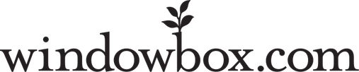 Windowbox.com logo