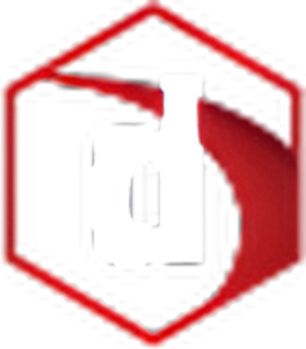 Dynamism logo