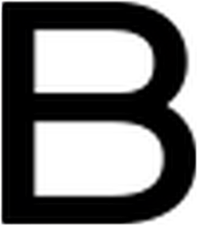 Blancsom logo