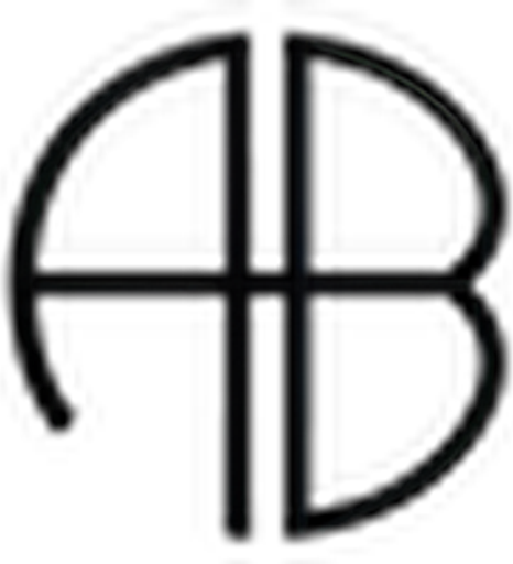 ANINE BING logo