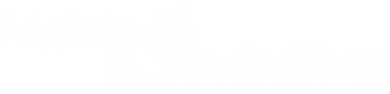metroswimshop logo