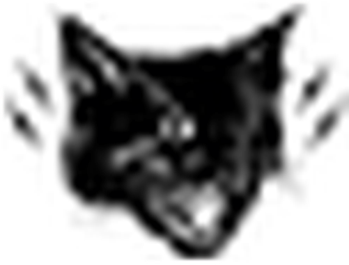 Black Magic Supply logo