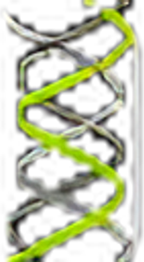 OptiBiotix Online logo