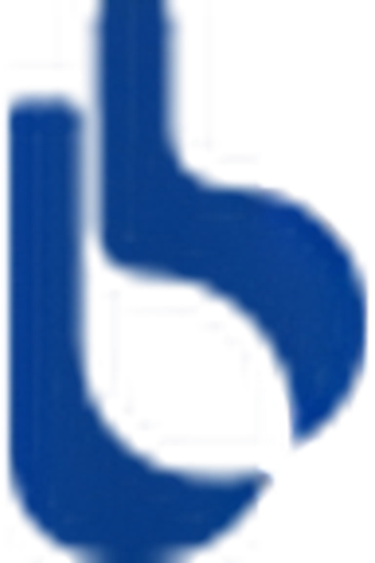 BigBlue Official Store logo