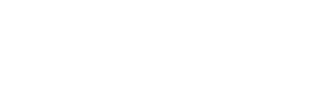 Syntech logo
