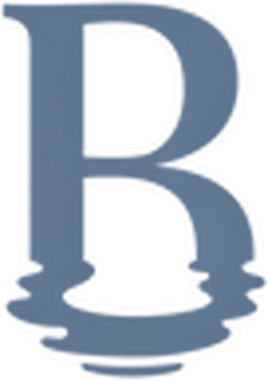 Basin logo