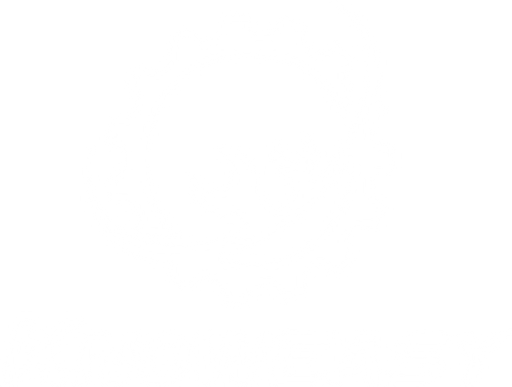 knoweasy logo