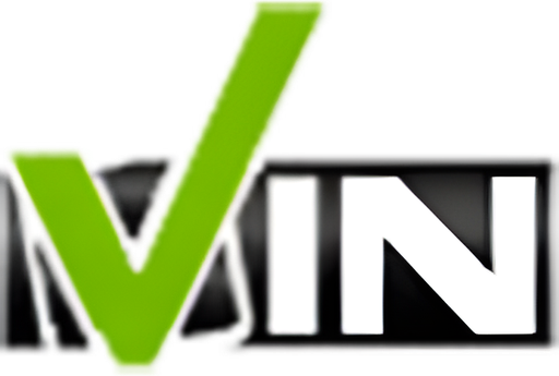 BigRigVIN logo