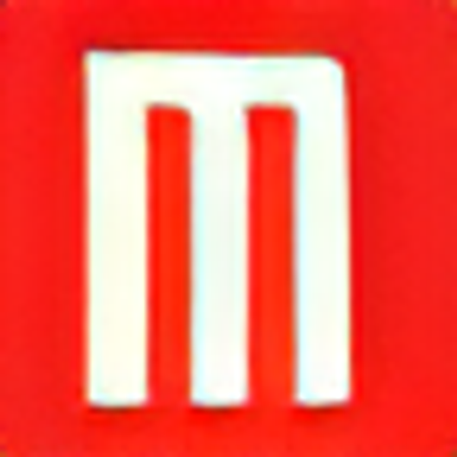 Metrostylestore logo