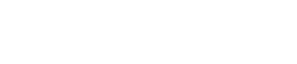 Performance Plus Tire logo