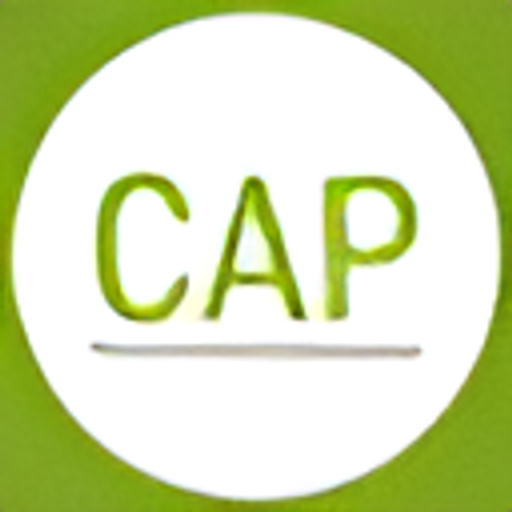 CheapAirportParking.org logo