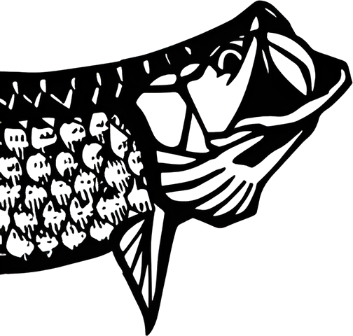 Castaway Customs logo