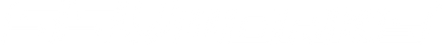 SSV Works logo