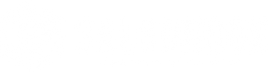 SaloonBox logo