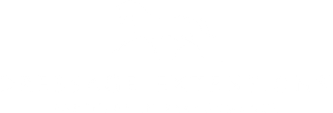 Dressage Extensions logo
