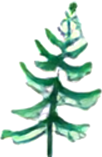 Christmas Central logo