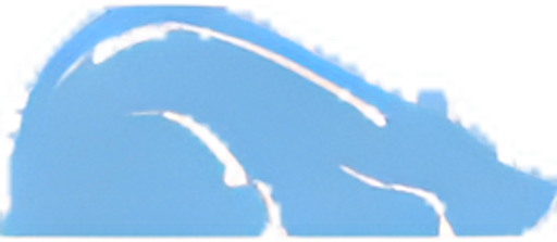 Belly Sleep logo