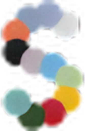 Soft Services logo