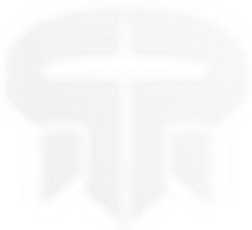 Rebuff Reality logo