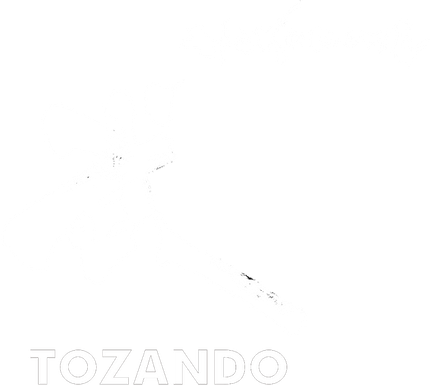 Tozando International logo