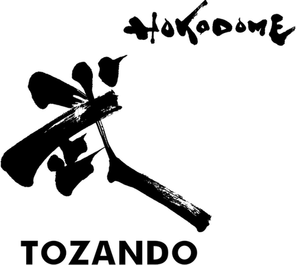 Tozando International logo