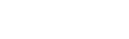 Tier 1 Concealed logo