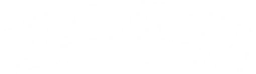 Rock Roll n Soul logo