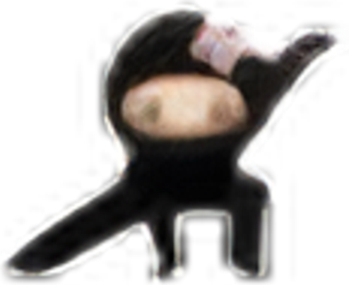 Beauty Ninja logo