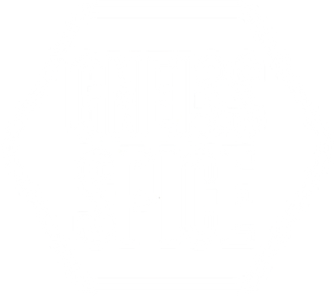 Gneiss Spice logo