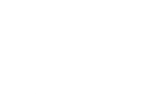 Backvac logo