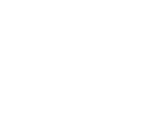 FP Insoles logo