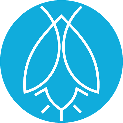 Art 'N Glow logo