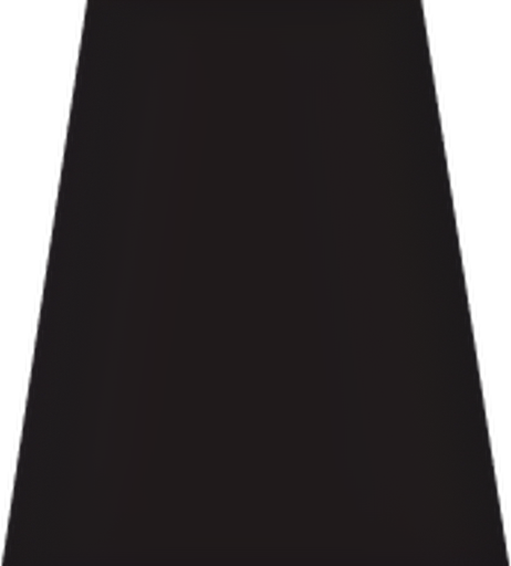 Casa Andina logo