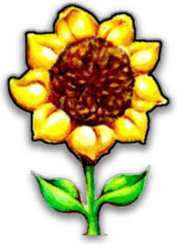 Southern Exposure Seed Exchange logo