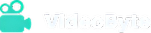 VideoByte logo