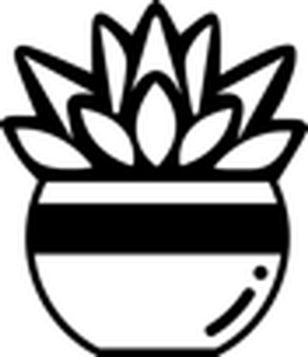 Succulent Studios logo