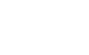 Fire & Smoke Society logo