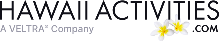 Hawaii Activities logo