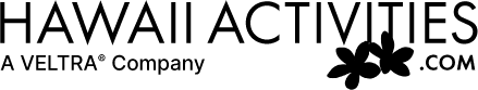 Hawaii Activities logo