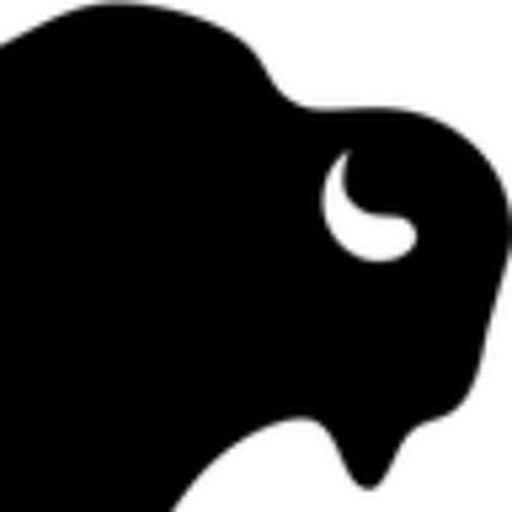 BlackBrook Case logo