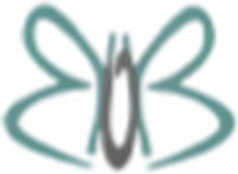 Breakout Bras logo